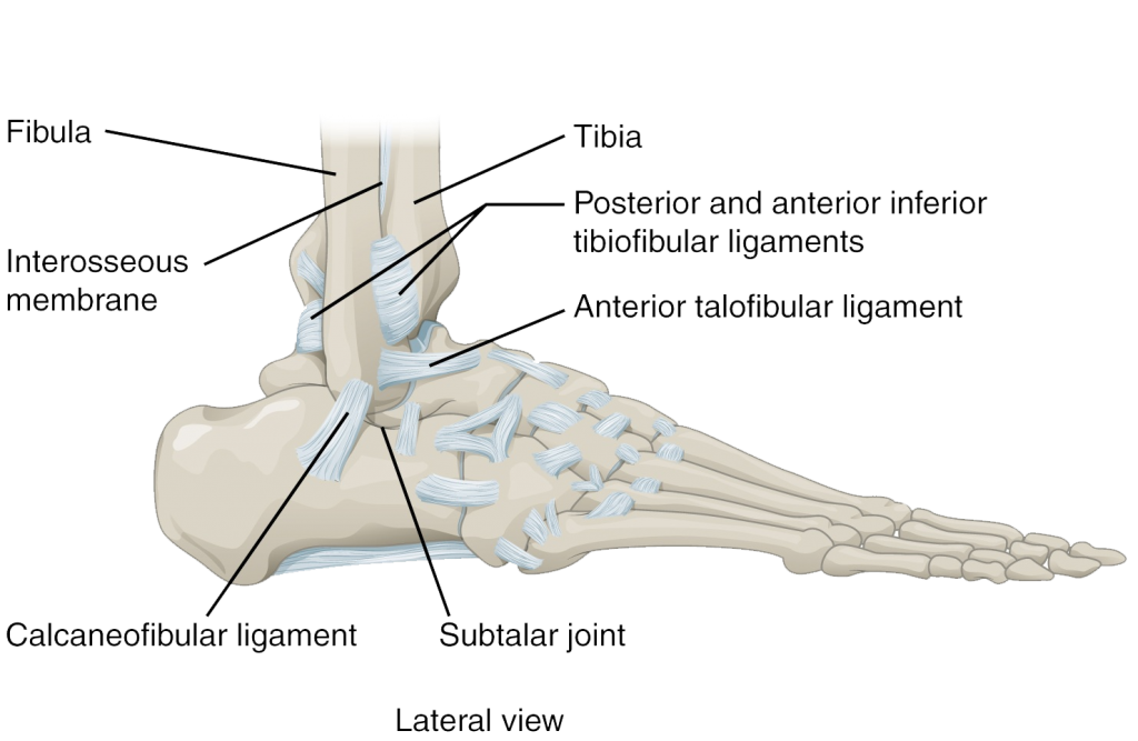 Ankle & Foot Surgery | Templeton | Dr William Sima, MD